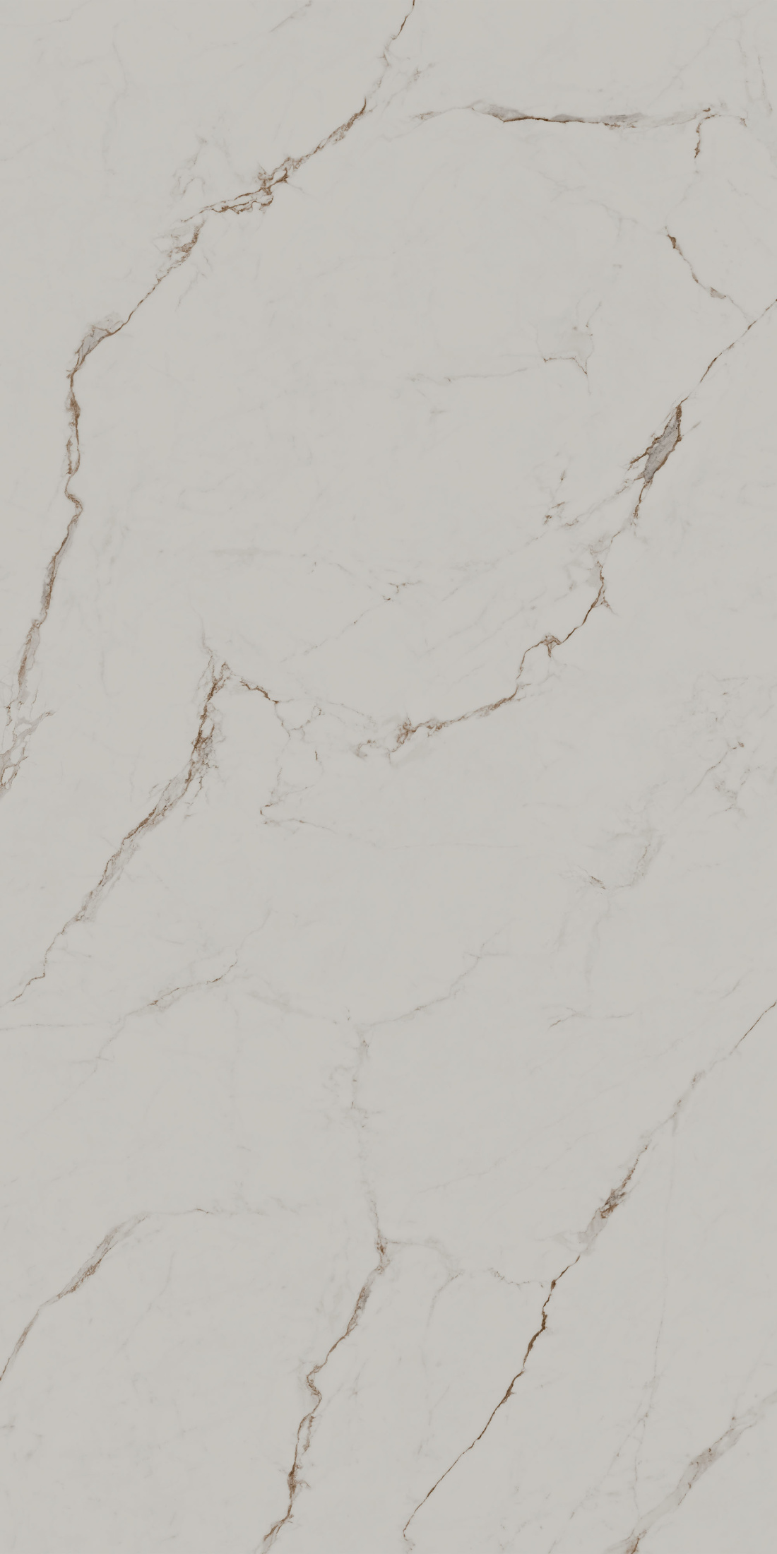 Монте Тиберио бежевый светлый матовый обрезной 119,5x238,5x1,1