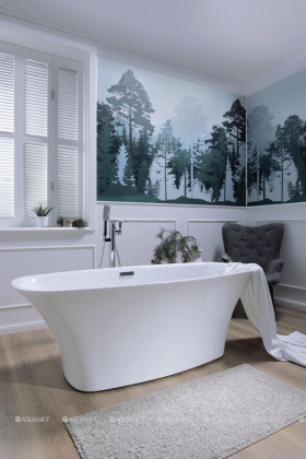 Акриловая ванна Aquanet Pleasure 170х78 208597 Акриловая ванна Aquanet Pleasure 170х78 208597