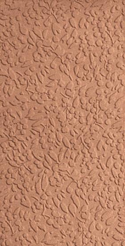 Керамогранит Nisus Coral Rect 30х60 Керамогранит Nisus Coral Rect 30х60