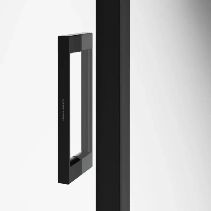 Душевая дверь LINDO, раздвижная  с функцией soft close, 100х195, матовый черный