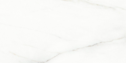 Voyage Blanco Керамогранит белый SG50002320R 60х119,5 матовый