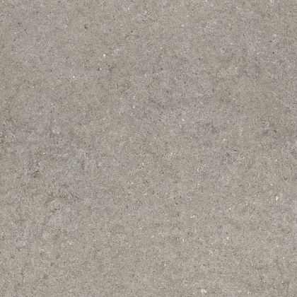 Дискавер Грэй 60 Рет