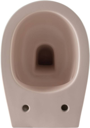 Чаша подвесного унитаза Allen Brau Fantasy 4.11004.SM розовый Чаша подвесного унитаза Allen Brau Fantasy 4.11004.SM розовый