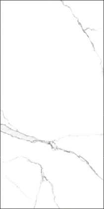 GT120600203MR Плитка грес глаз. Marmo_GT Белый 60*120 _ 1 \43,2