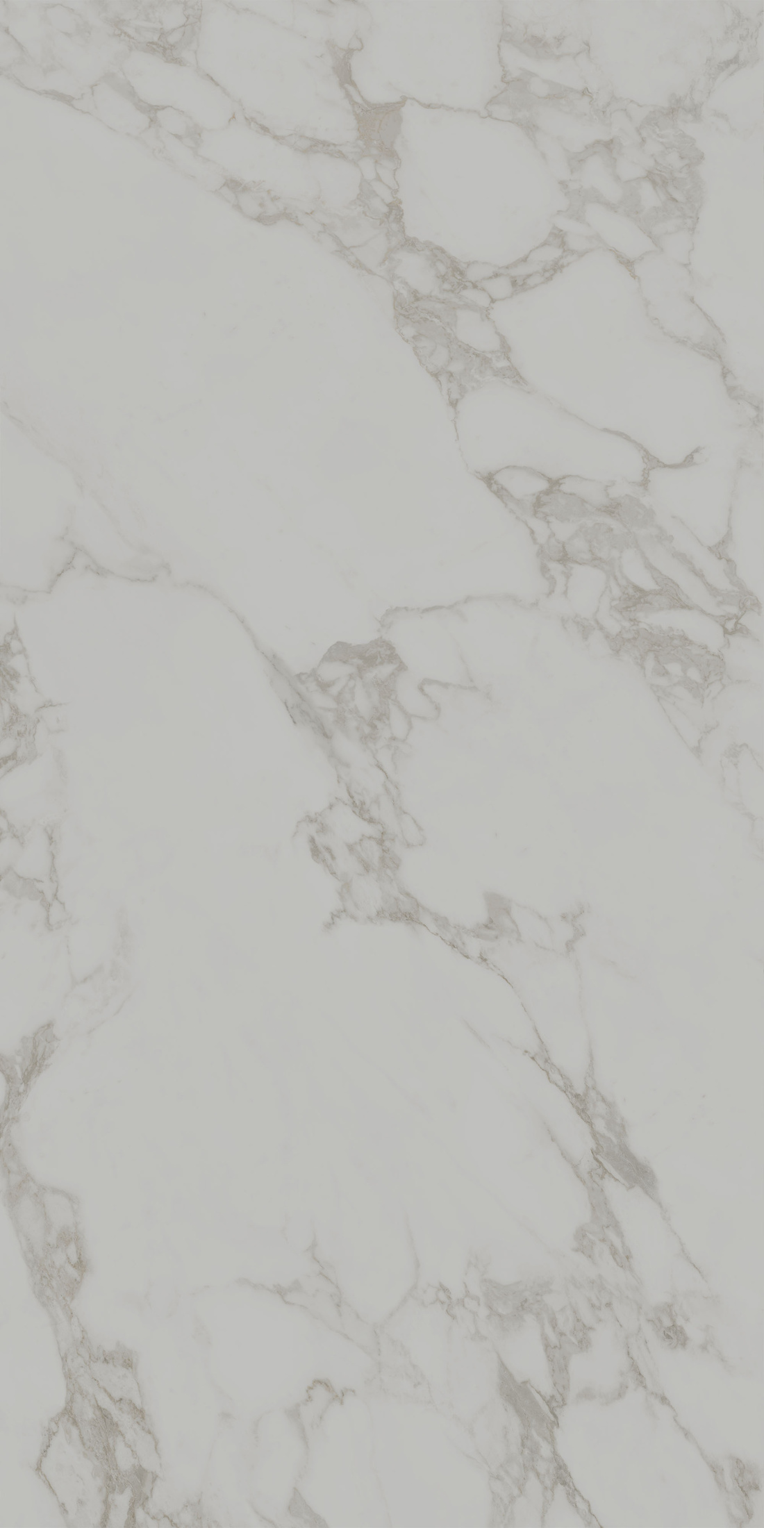 Монте Тиберио серый светлый матовый обрезной 80x160x0,9