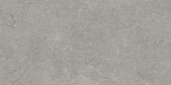 Newcon Керамогранит Серебристо-серый K945752R0001VTE0 30х60