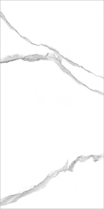 PGT 2196 Плитка грес глаз. Anima NB_GT Бел. 60*120 Полир._ 1 \40,32 PGT 2196 Плитка грес глаз. Anima NB_GT Бел. 60*120 Полир._ 1 \40,32