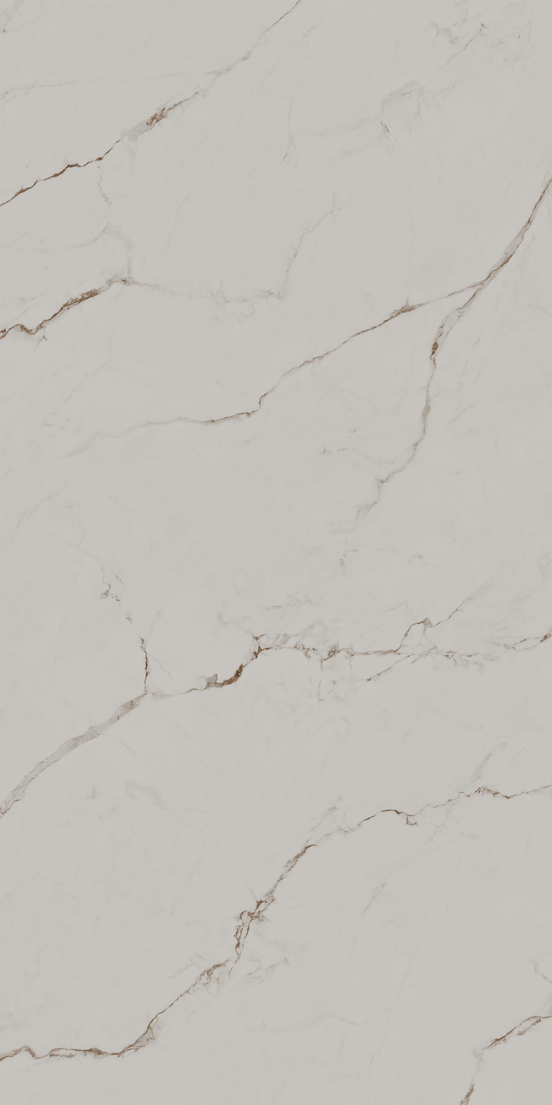 Монте Тиберио бежевый светлый матовый обрезной 119,5x238,5x1,1