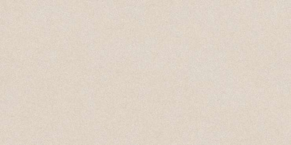 Керамогранит 600х1200 BUTTER GLOSSY