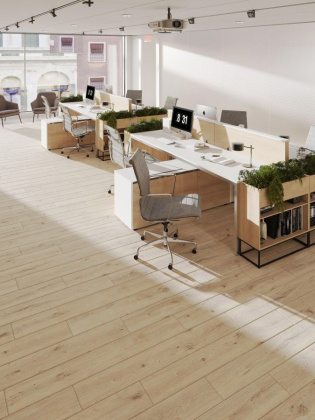 Ламинат Egger 8/33 Classic WV4 Дуб Муром