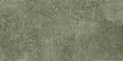 GT233VG Настенная плита Delia_GT Зелен. 30x60 _ 1\58,32