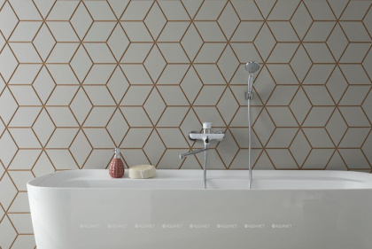 Акриловая ванна Aquanet Family Fine 170x78 95778 Matt Finish Акриловая ванна Aquanet Family Fine 170x78 95778 Matt Finish