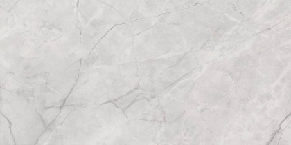 Connect Gris Керамогранит серый SG50002922R 60х119,5 полированный