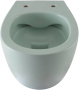 Чаша подвесного унитаза Allen Brau Fantasy 4.11004.MT мятный Чаша подвесного унитаза Allen Brau Fantasy 4.11004.MT мятный