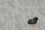 Керамогранит K947783R0001VTER SilkMarble Марфим Кремовый (120см*60см*8мм) (2шт/1,44м2), м2