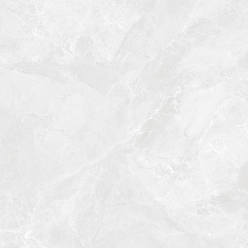 Regnum Bianco Керамогранит светло-серый CR6060G0391R 59,5х59,5 матовый