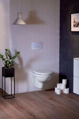 Унитаз подвесной Jacob Delafon Patio EDV102-00, шт