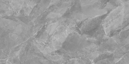 Regnum Grigio Керамогранит серый CR6012G0411R 59,5х119,1 матовый