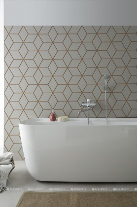 Акриловая ванна Aquanet Family Fine 170x78 95778 Gloss Finish Акриловая ванна Aquanet Family Fine 170x78 95778 Gloss Finish