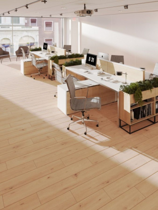 Ламинат Egger 10/33 Classic WV4 Дуб Дикий Натуральный