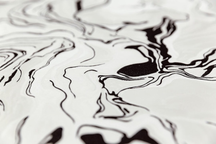 Обои виниловые Галатея база универсальная, белый чёрный