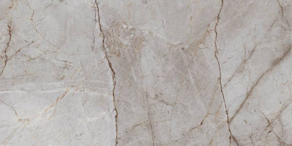 Керамогранит Laparet Silver Root полированный 60х120 (2шт_1,44м2), м2