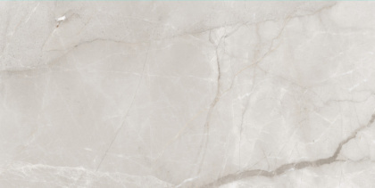 Duna/Bestceramic - Керамогранит - Fish Maw Ash Digital Carving - 120x60 см