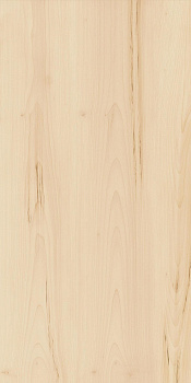 Керамогранит Элемент Ачеро 60х120 (2шт*1,44м2), м2 Керамогранит Элемент Ачеро 60х120 (2шт*1,44м2), м2