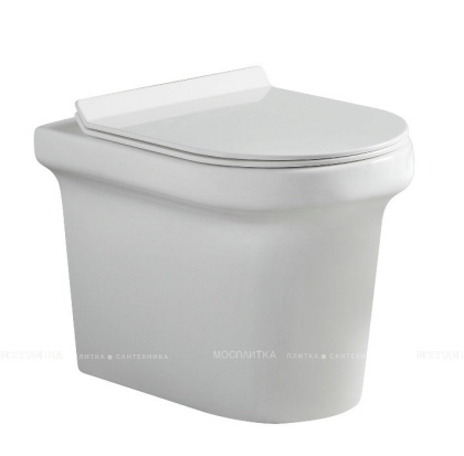 Унитаз приставной Aquanet Rimless Nova-F BL-101N-FST Унитаз приставной Aquanet Rimless Nova-F BL-101N-FST