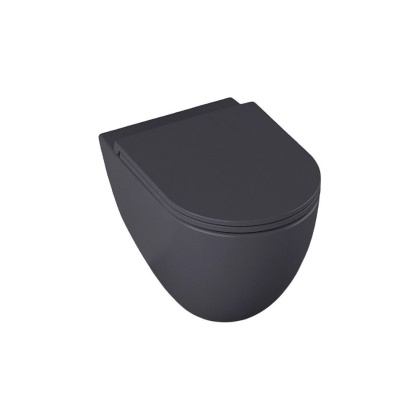 Чаша подвесного унитаза Allen Brau Reality 4.32006.AN антрацит Чаша подвесного унитаза Allen Brau Reality 4.32006.AN антрацит
