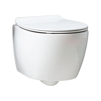 Подвесной унитаз Allen Brau Fantasy 4.11004.20