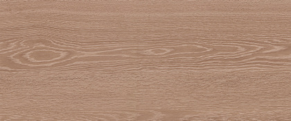 10100001342 Плитка облиц. Eco Wood GT Беж. 60*25 03_ 1 \57,6