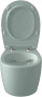Чаша подвесного унитаза Allen Brau Fantasy 4.11004.MT мятный Чаша подвесного унитаза Allen Brau Fantasy 4.11004.MT мятный