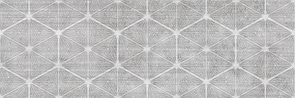 1064-0344 Плитка облиц. Conwood_GT _ 60*20 гексагон_ 1 \53,76