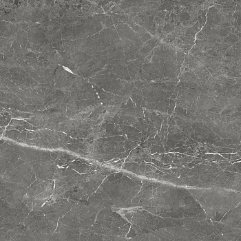 GT606012109SPR Керамогранит Tulip_GT Темно-сер. 60x60 _ 1\54,72