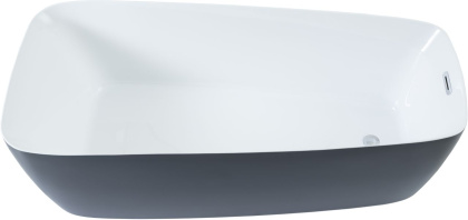 Акриловая ванна Aquanet Family Trend 170x78 90778 Gloss Finish (панель Black matte) Акриловая ванна Aquanet Family Trend 170x78 90778 Gloss Finish (панель Black matte)